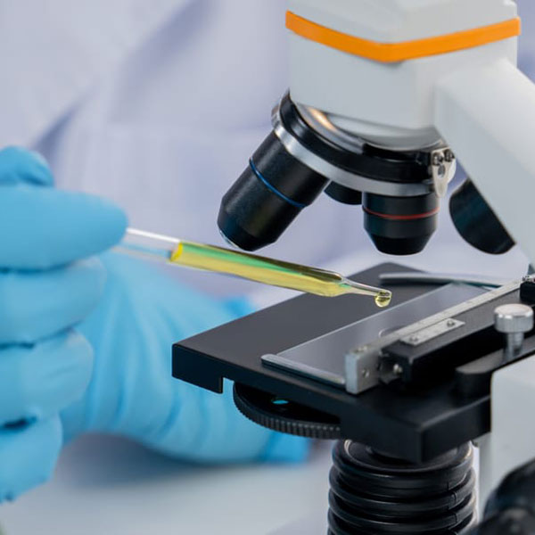 Clinical Trials Acronyms Bilingual Glossary